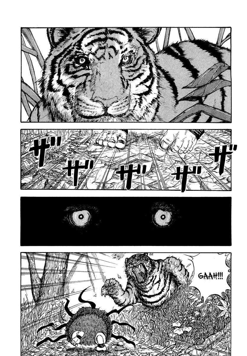 Kingdom 8