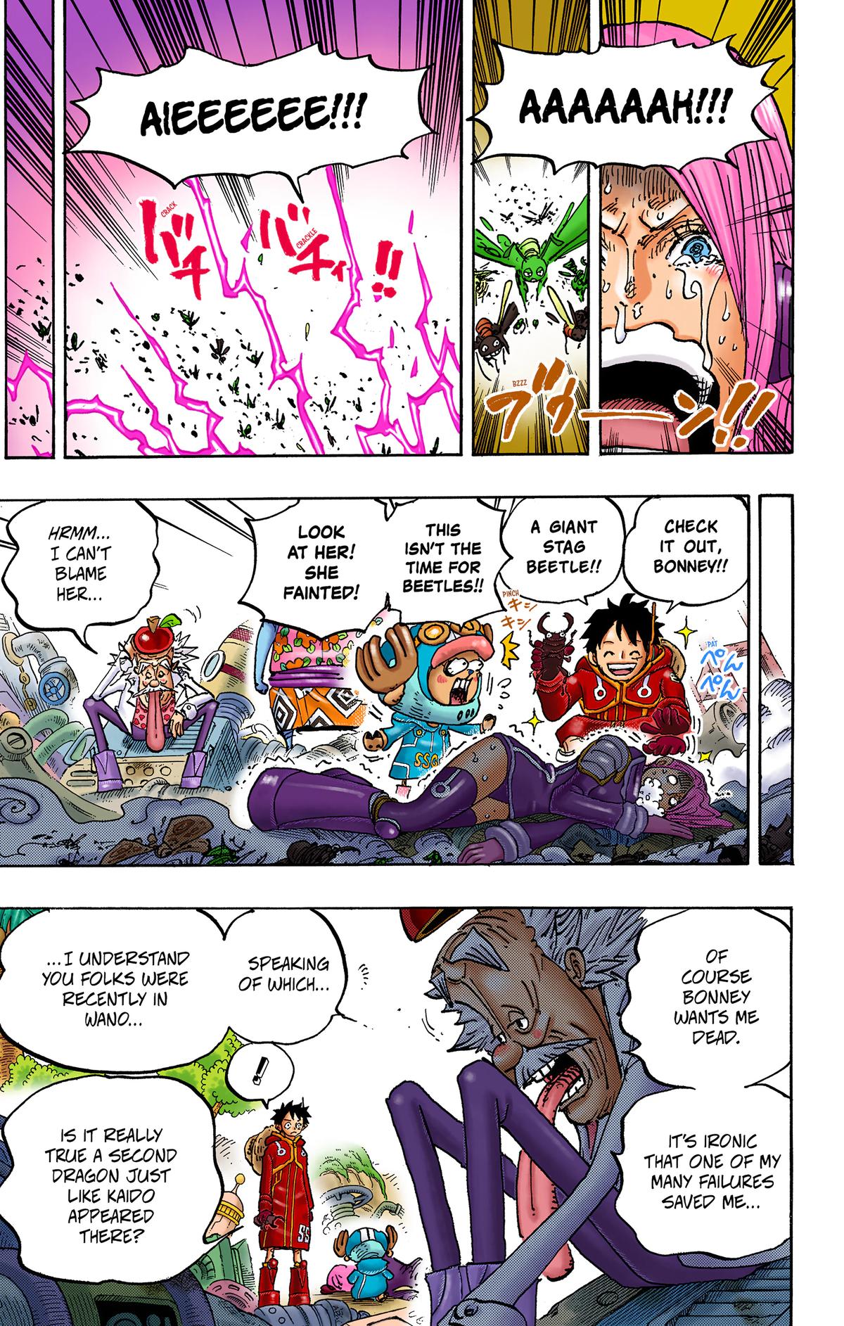 One Piece (Color) Chapter 1067 7