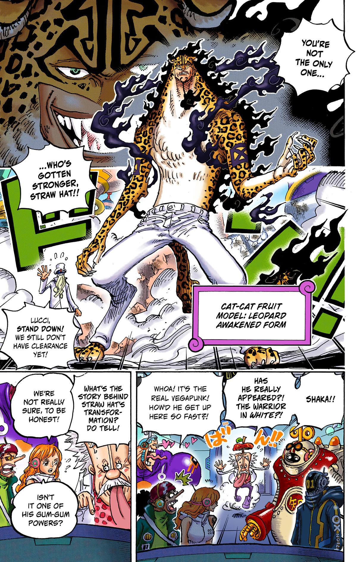 One Piece (Color) Chapter 1069 7