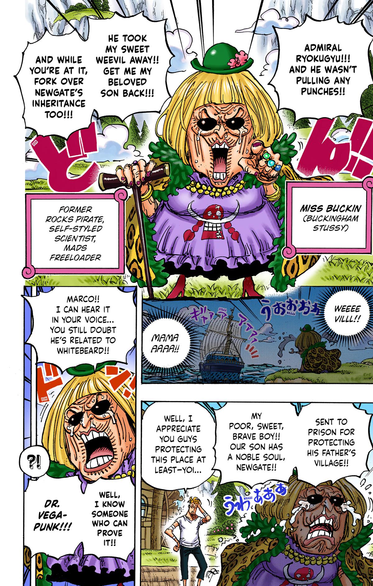 One Piece (Color) Chapter 1073 14