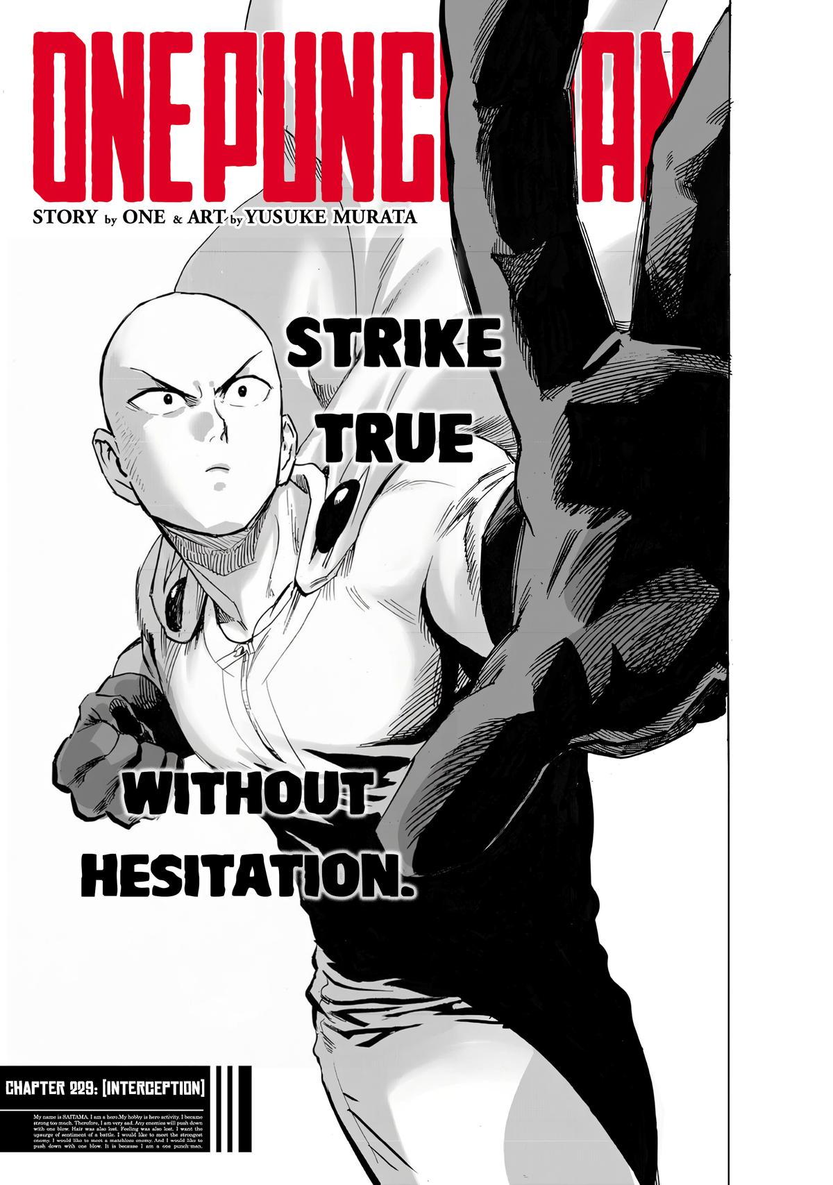 One-Punch Man 229