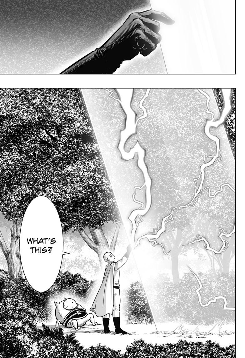 One-Punch Man Official Scans 207 10