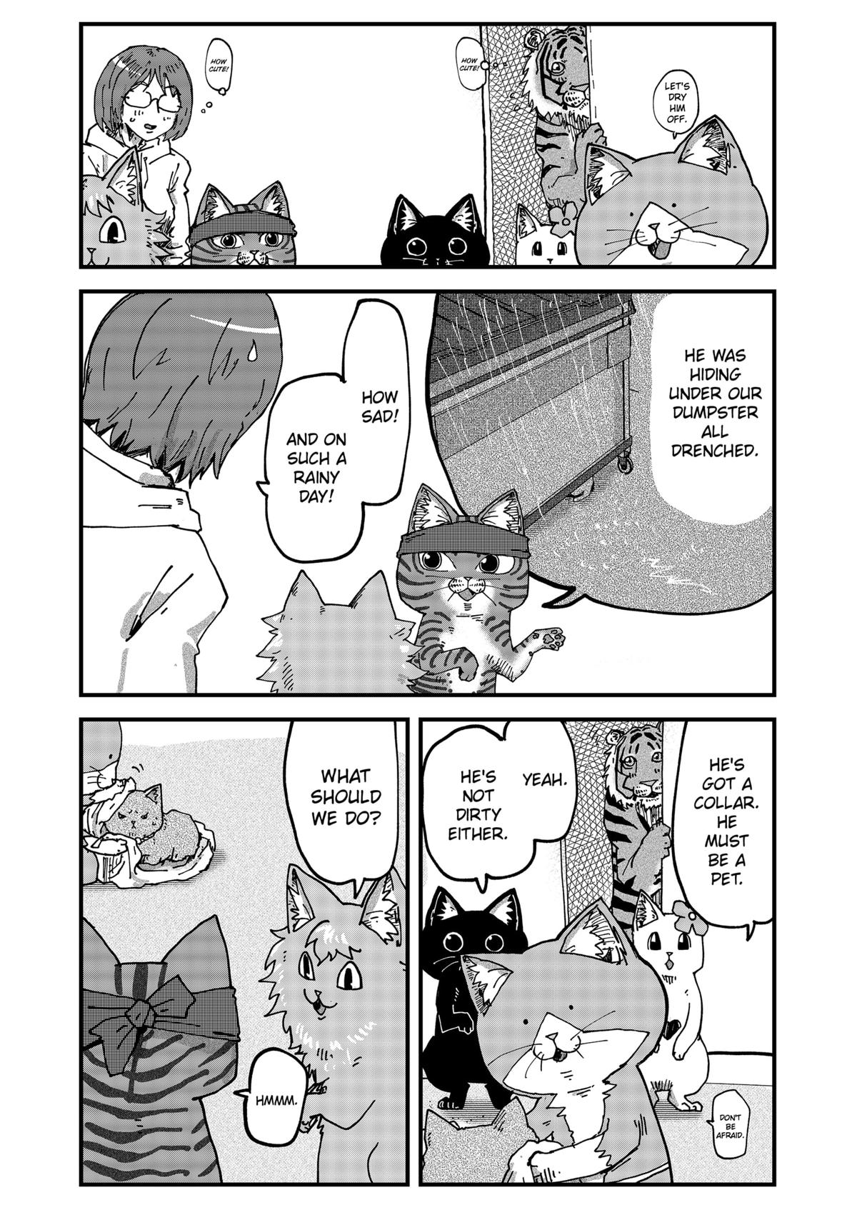 Red Cat Ramen Chapter 71 4