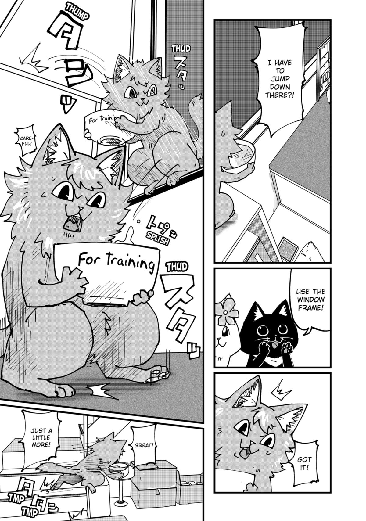 Red Cat Ramen Chapter 75 13