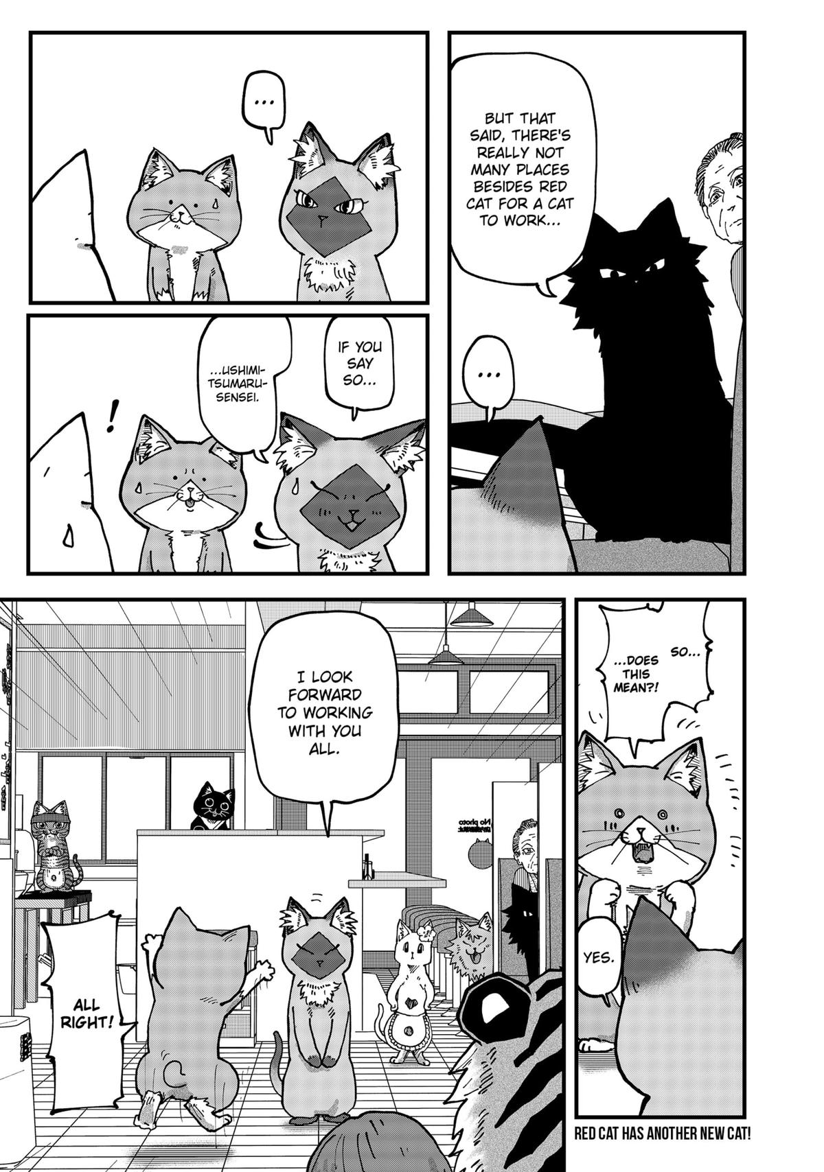 Red Cat Ramen Chapter 110 15