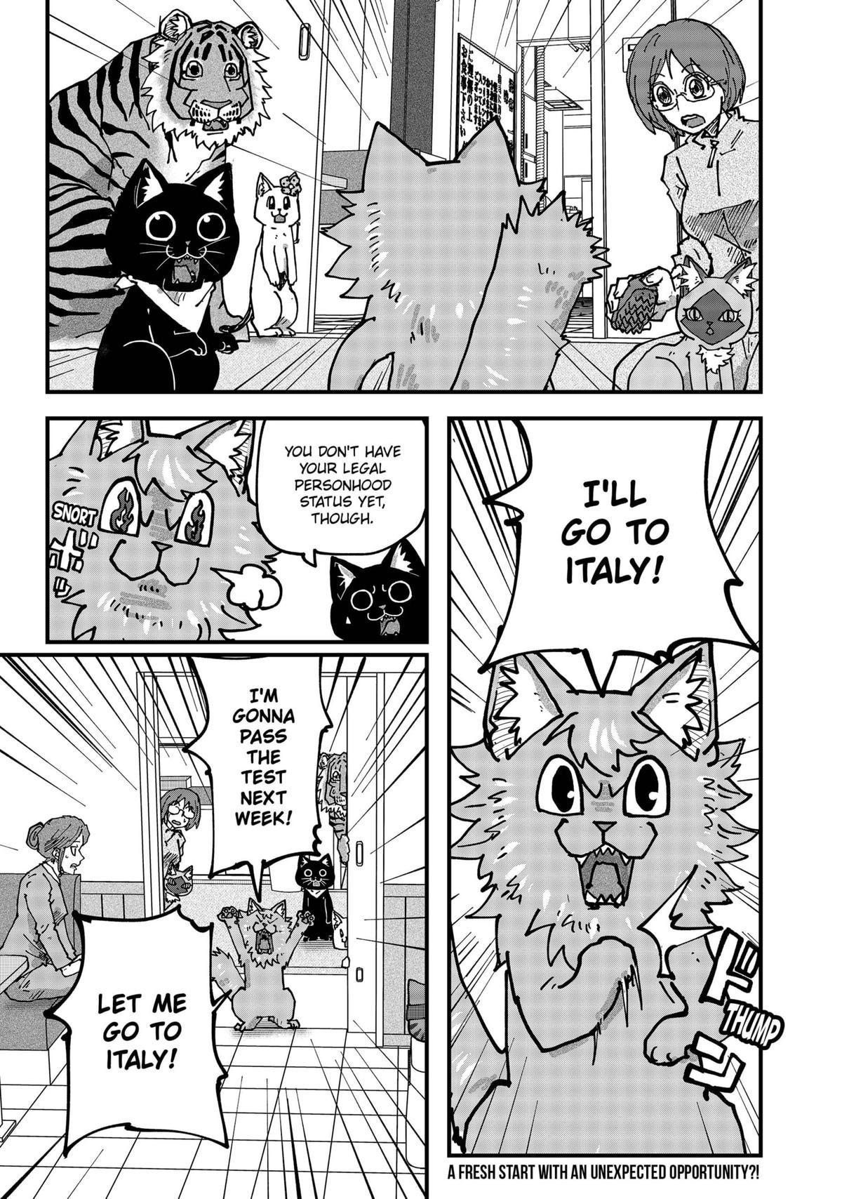 Red Cat Ramen Chapter 123 15