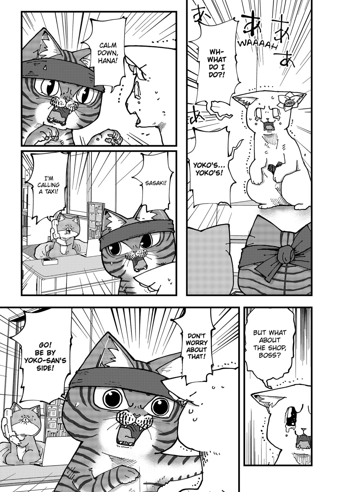 Red Cat Ramen Chapter 177 3