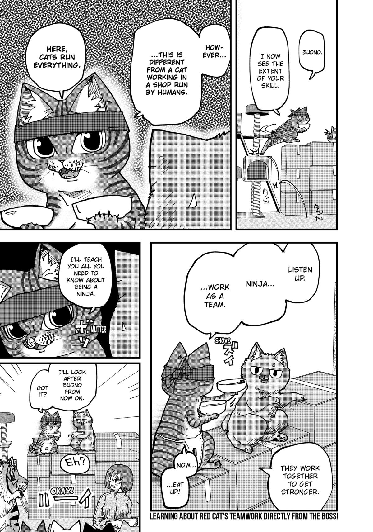 Red Cat Ramen Chapter 183 15