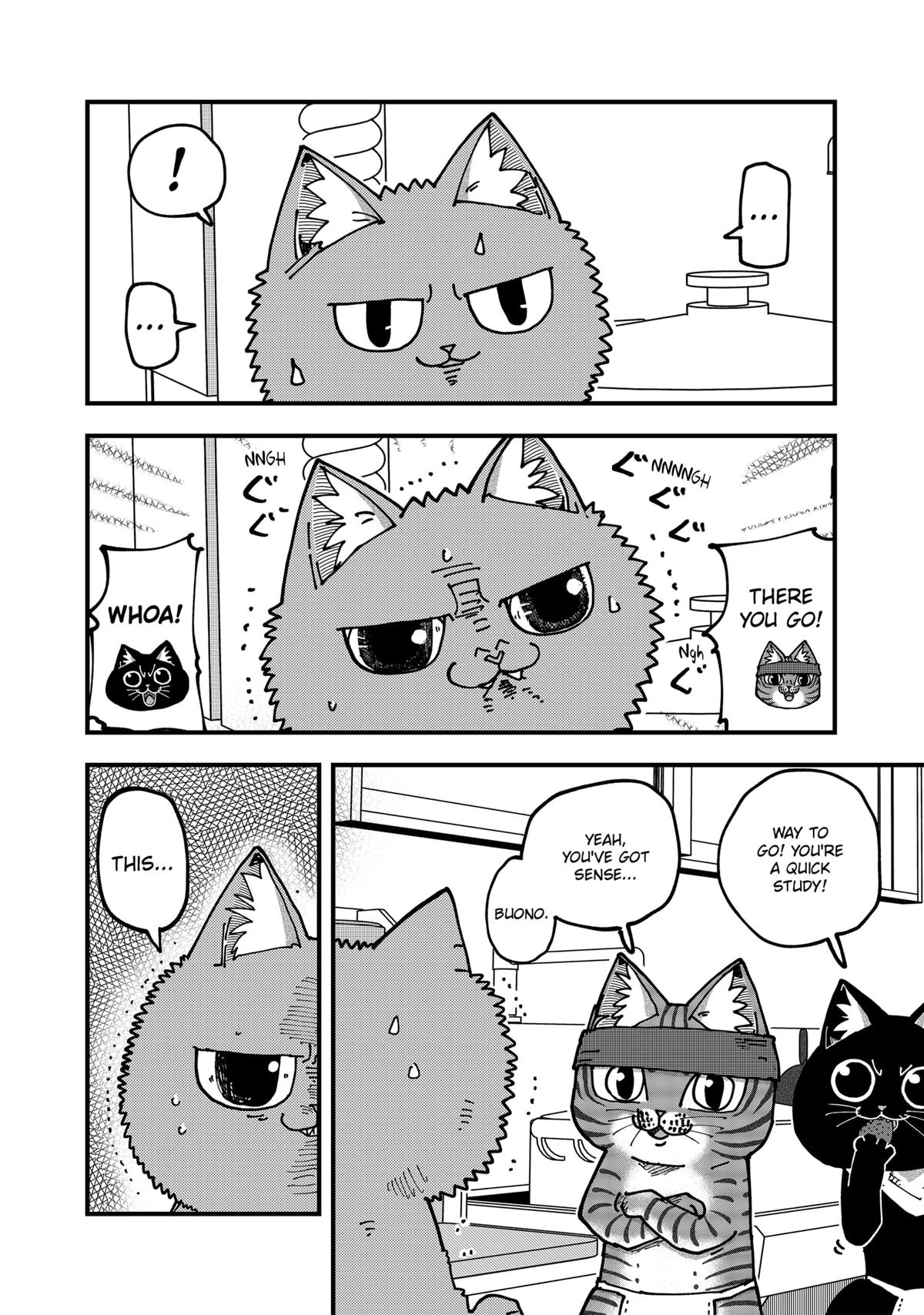 Red Cat Ramen Chapter 185 4