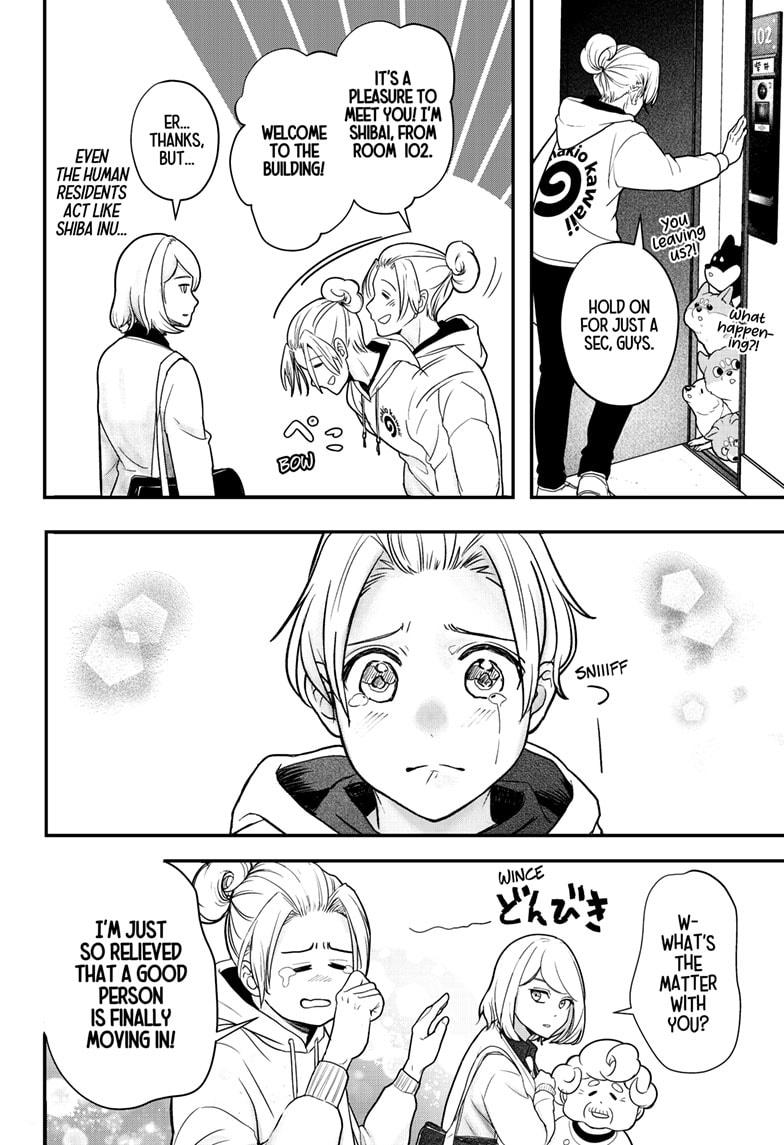 Shiba Inu Rooms Chapter 1 11