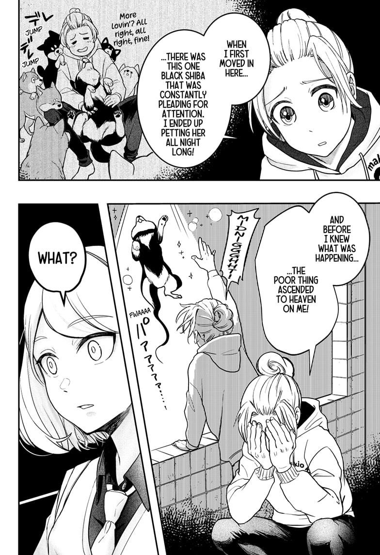 Shiba Inu Rooms Chapter 1 13