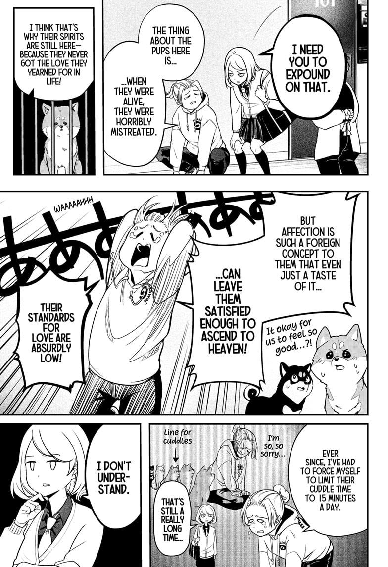 Shiba Inu Rooms Chapter 1 14