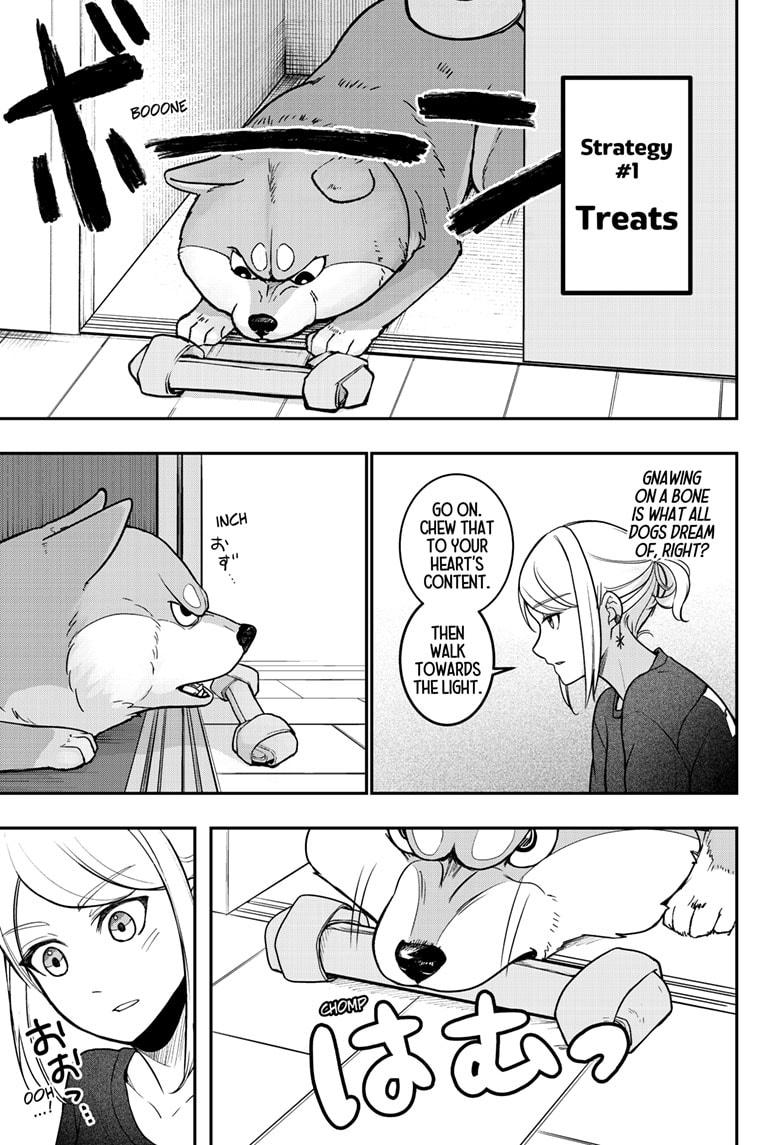 Shiba Inu Rooms Chapter 1 32