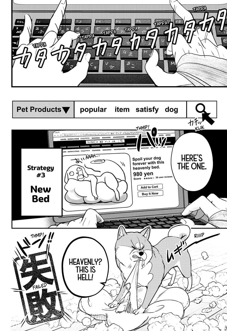 Shiba Inu Rooms Chapter 1 35