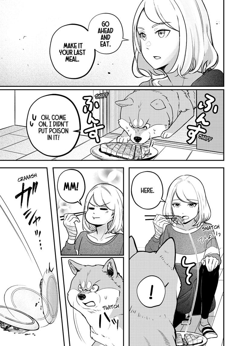Shiba Inu Rooms Chapter 1 40