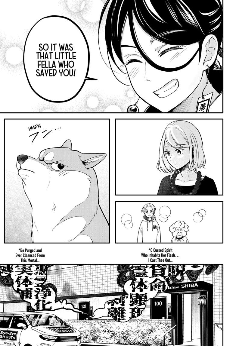 Shiba Inu Rooms Chapter 1 50