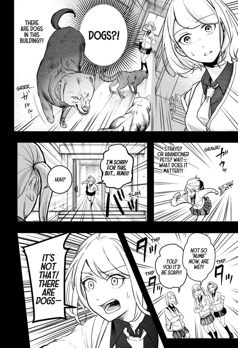 Shiba Inu Rooms Chapter 1 55