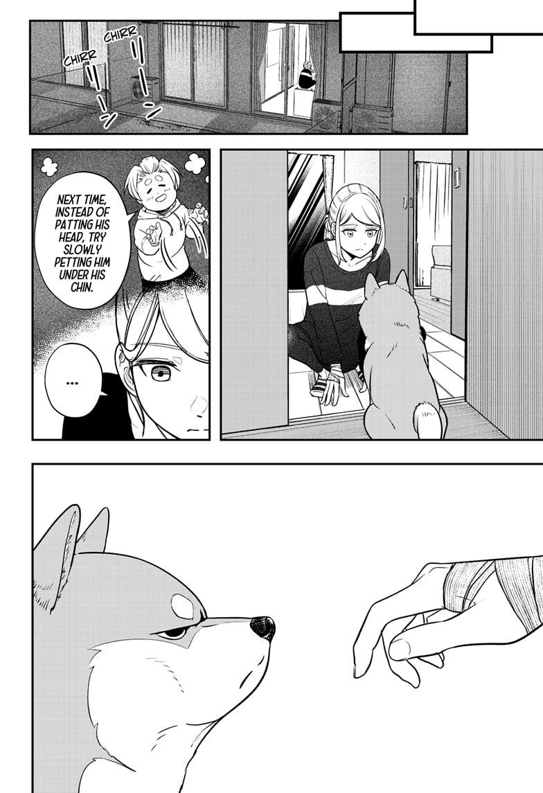 Shiba Inu Rooms Chapter 1 61