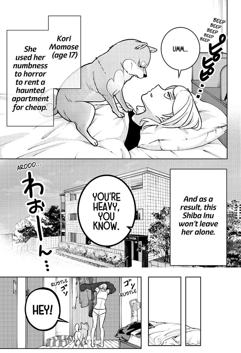 Shiba Inu Rooms Chapter 1 78