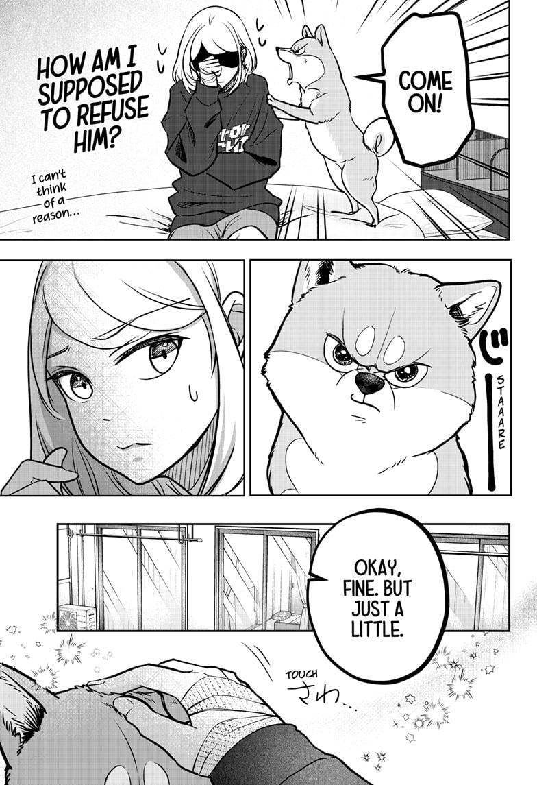 Shiba Inu Rooms Chapter 1 82