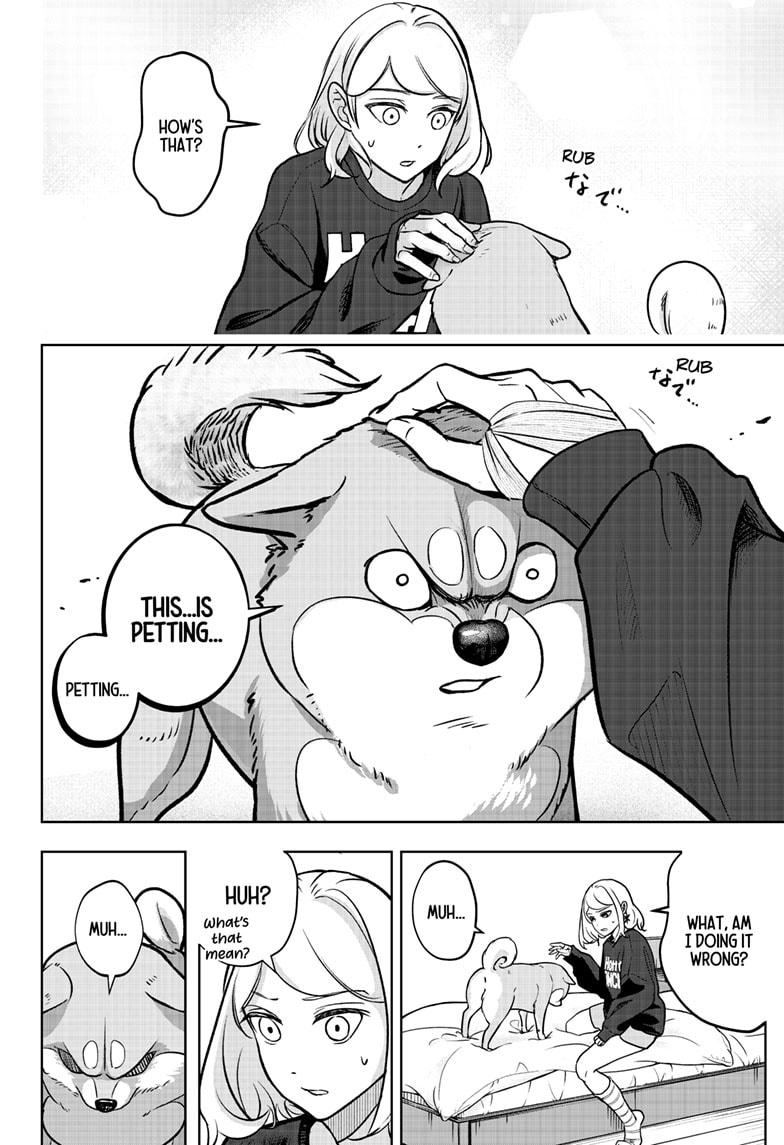 Shiba Inu Rooms Chapter 1 83