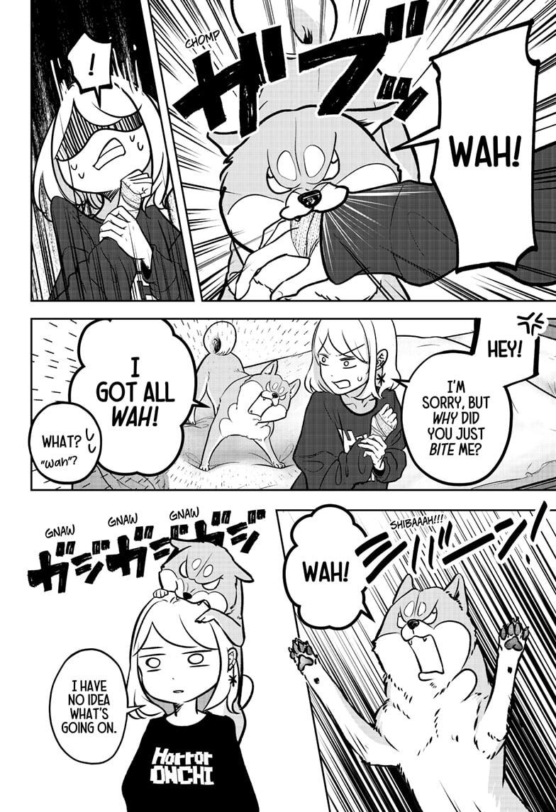 Shiba Inu Rooms Chapter 1 85