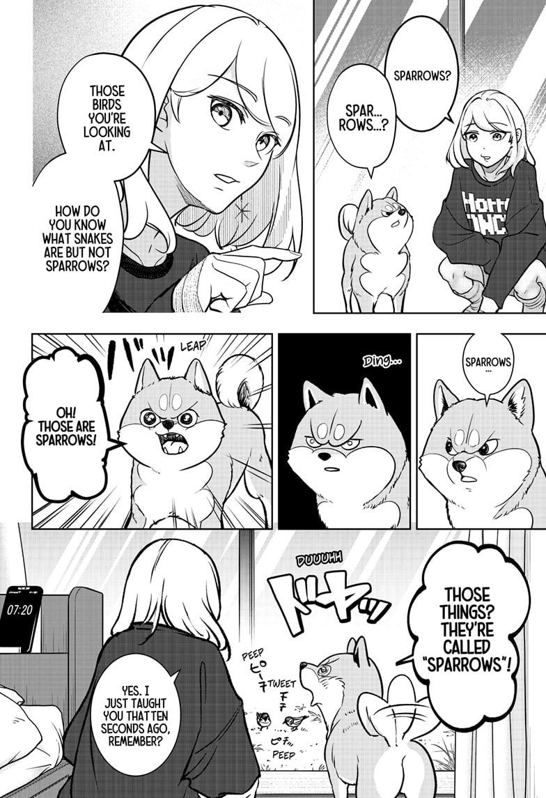 Shiba Inu Rooms Chapter 1 91