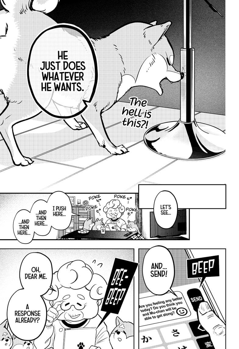 Shiba Inu Rooms Chapter 1 96