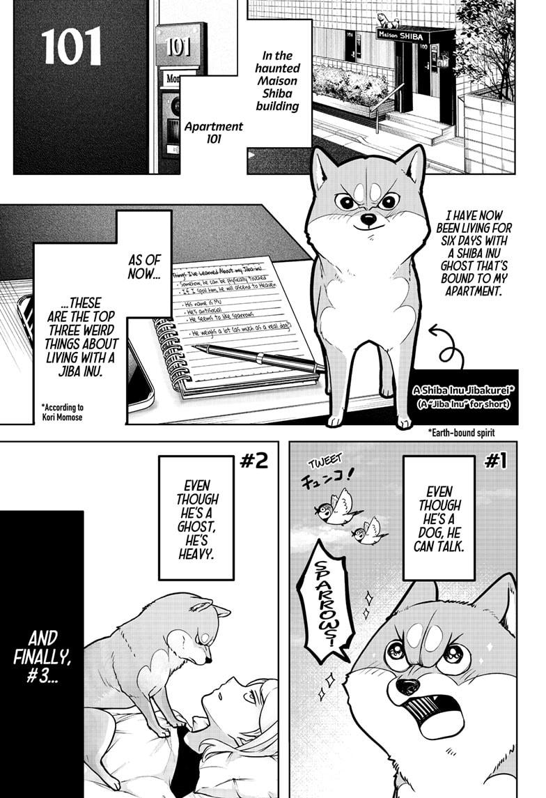 Shiba Inu Rooms Chapter 3 1