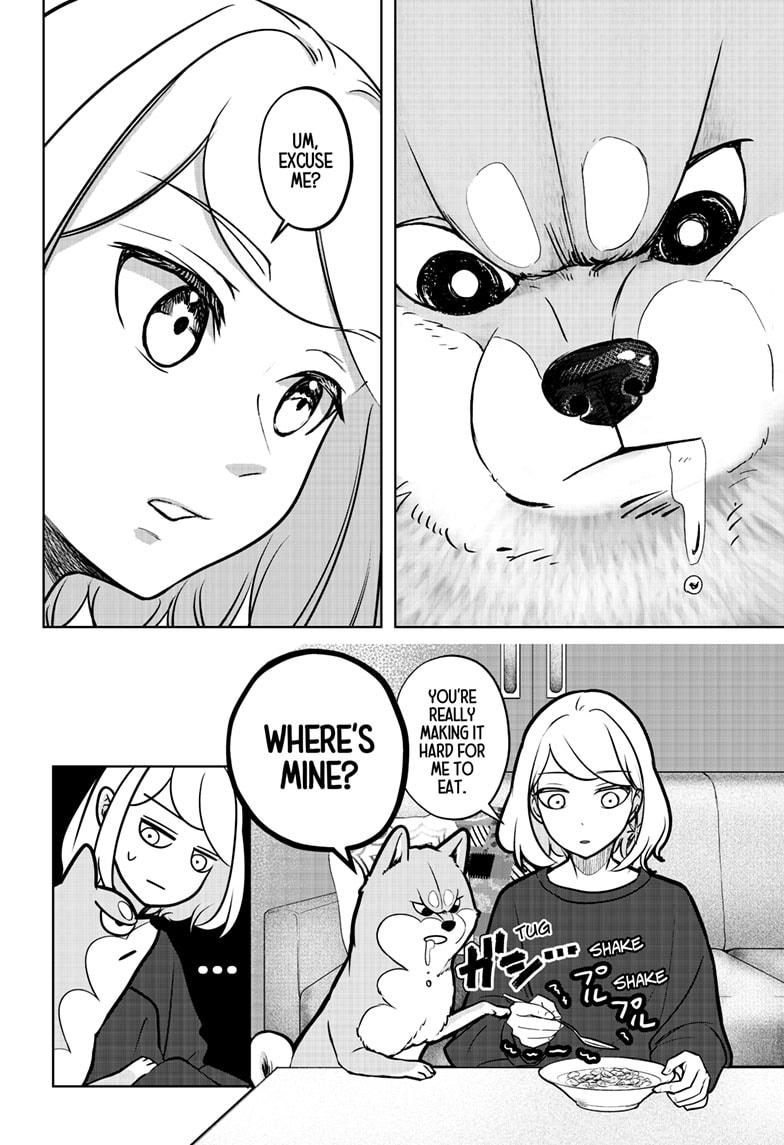 Shiba Inu Rooms Chapter 3 2