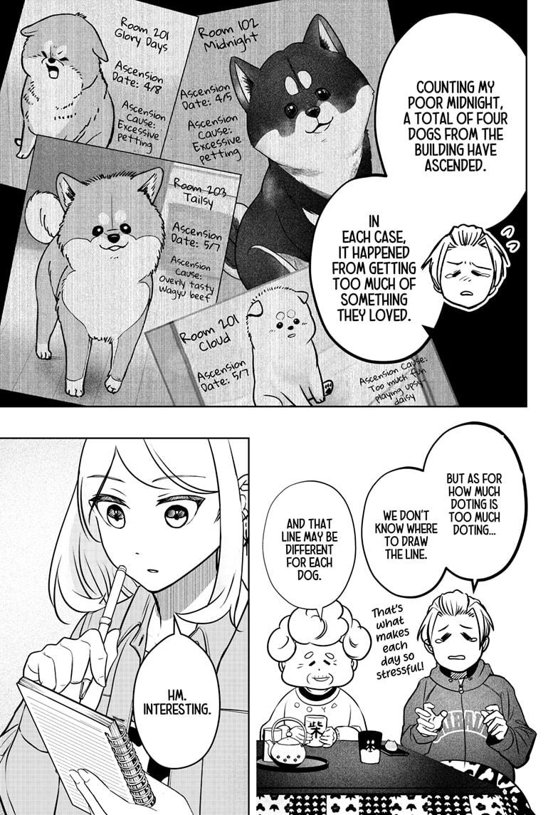Shiba Inu Rooms Chapter 3 13