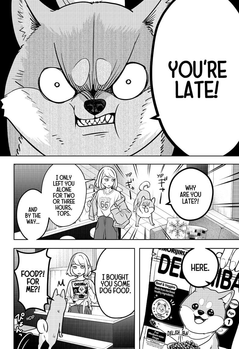 Shiba Inu Rooms Chapter 3 18