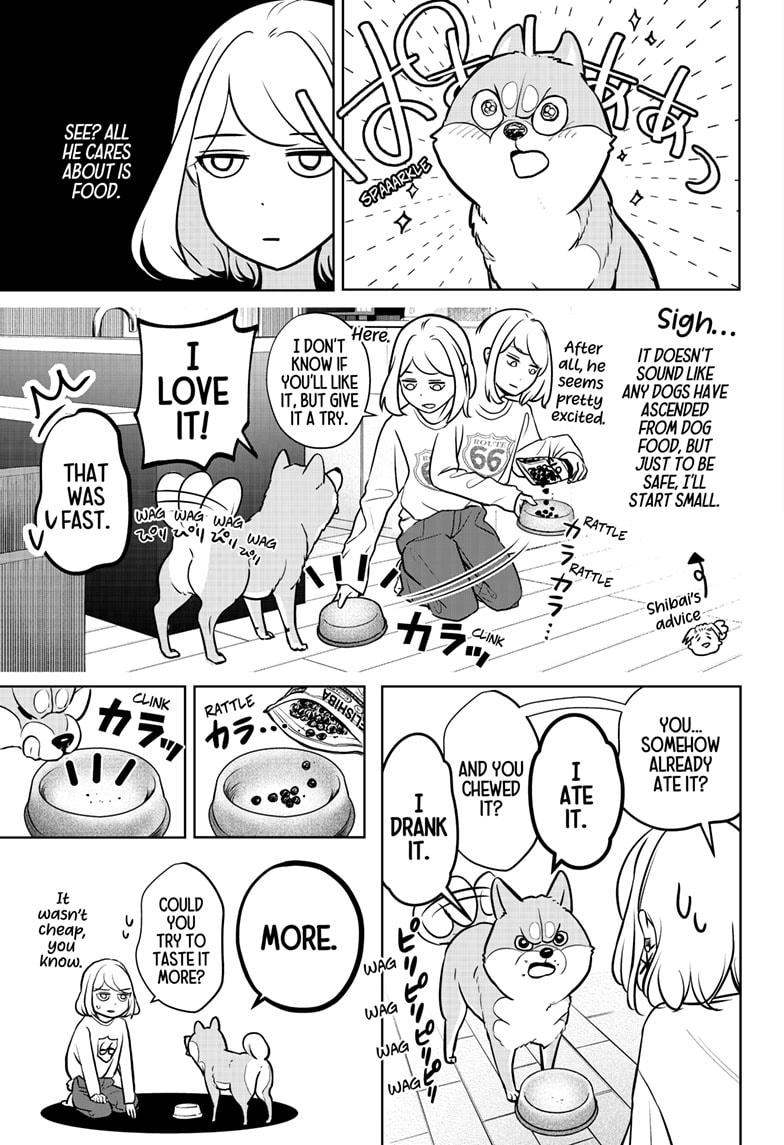 Shiba Inu Rooms Chapter 3 19