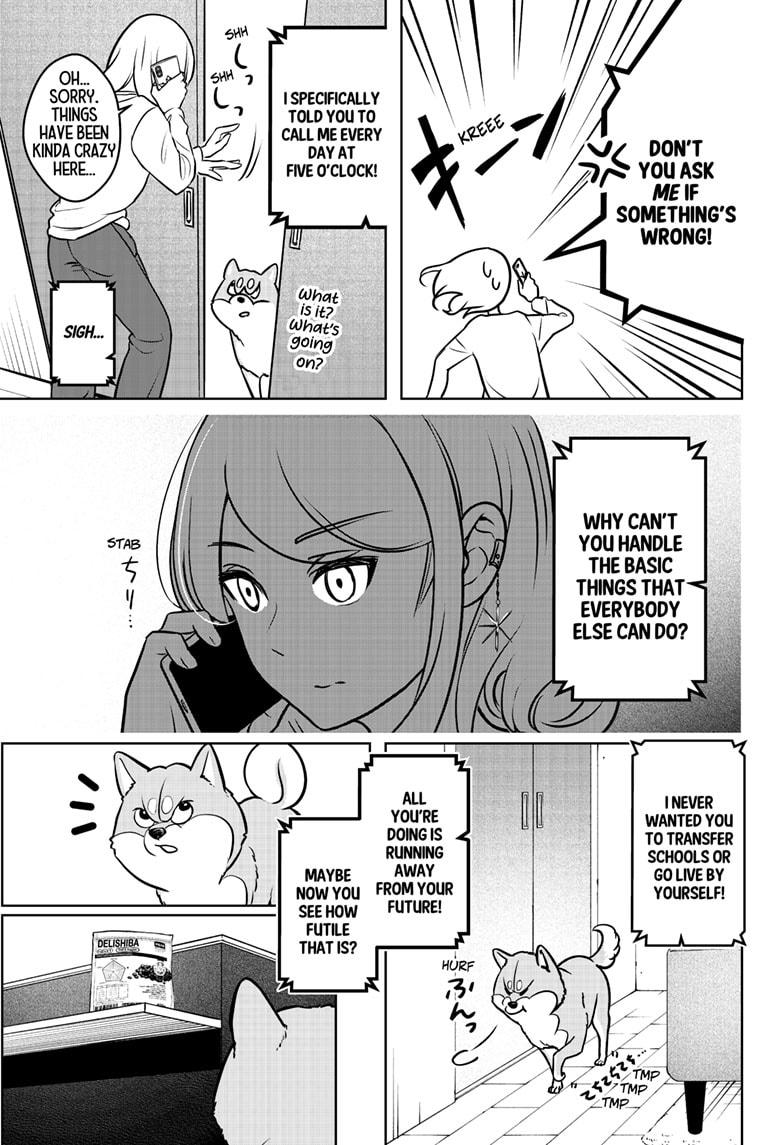 Shiba Inu Rooms Chapter 3 21