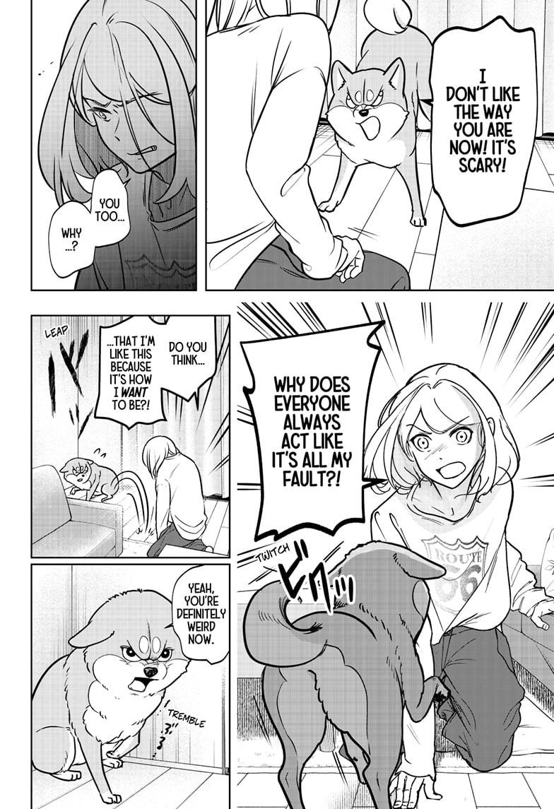 Shiba Inu Rooms Chapter 3 24