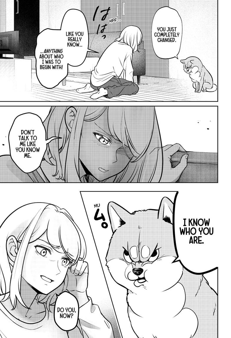 Shiba Inu Rooms Chapter 3 25