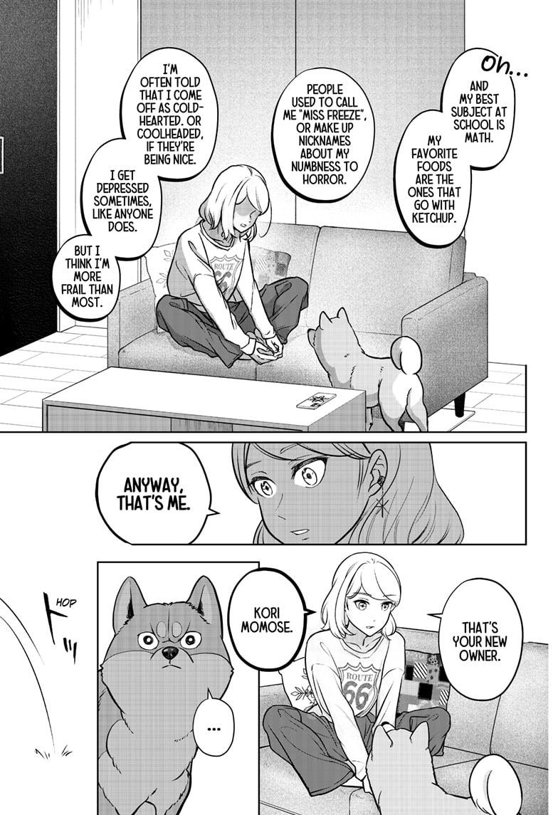 Shiba Inu Rooms Chapter 3 33