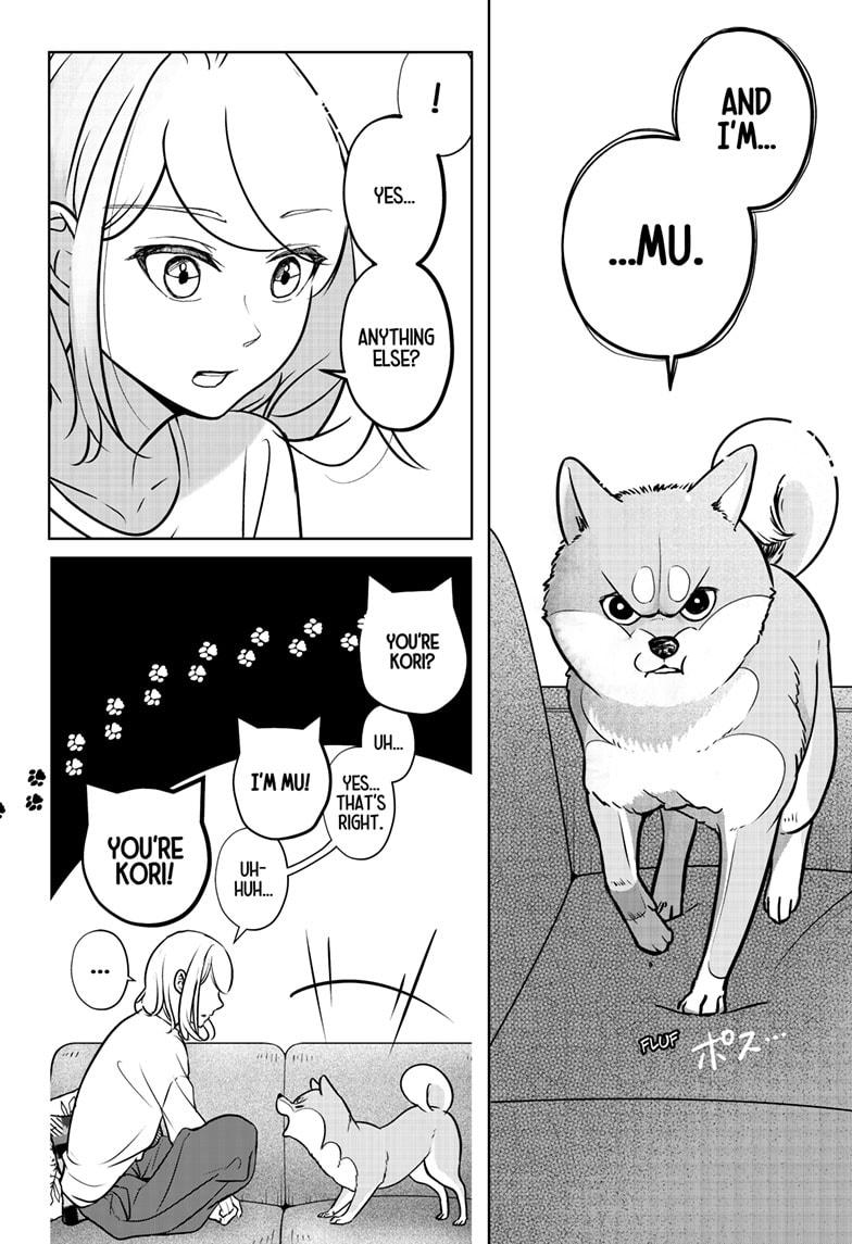 Shiba Inu Rooms Chapter 3 34