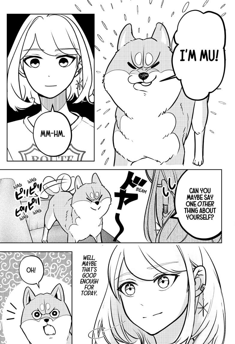 Shiba Inu Rooms Chapter 3 35