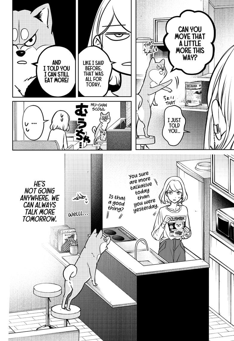 Shiba Inu Rooms Chapter 3 36