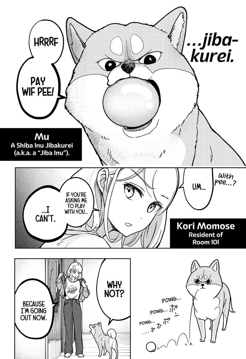 Shiba Inu Rooms Chapter 4 2