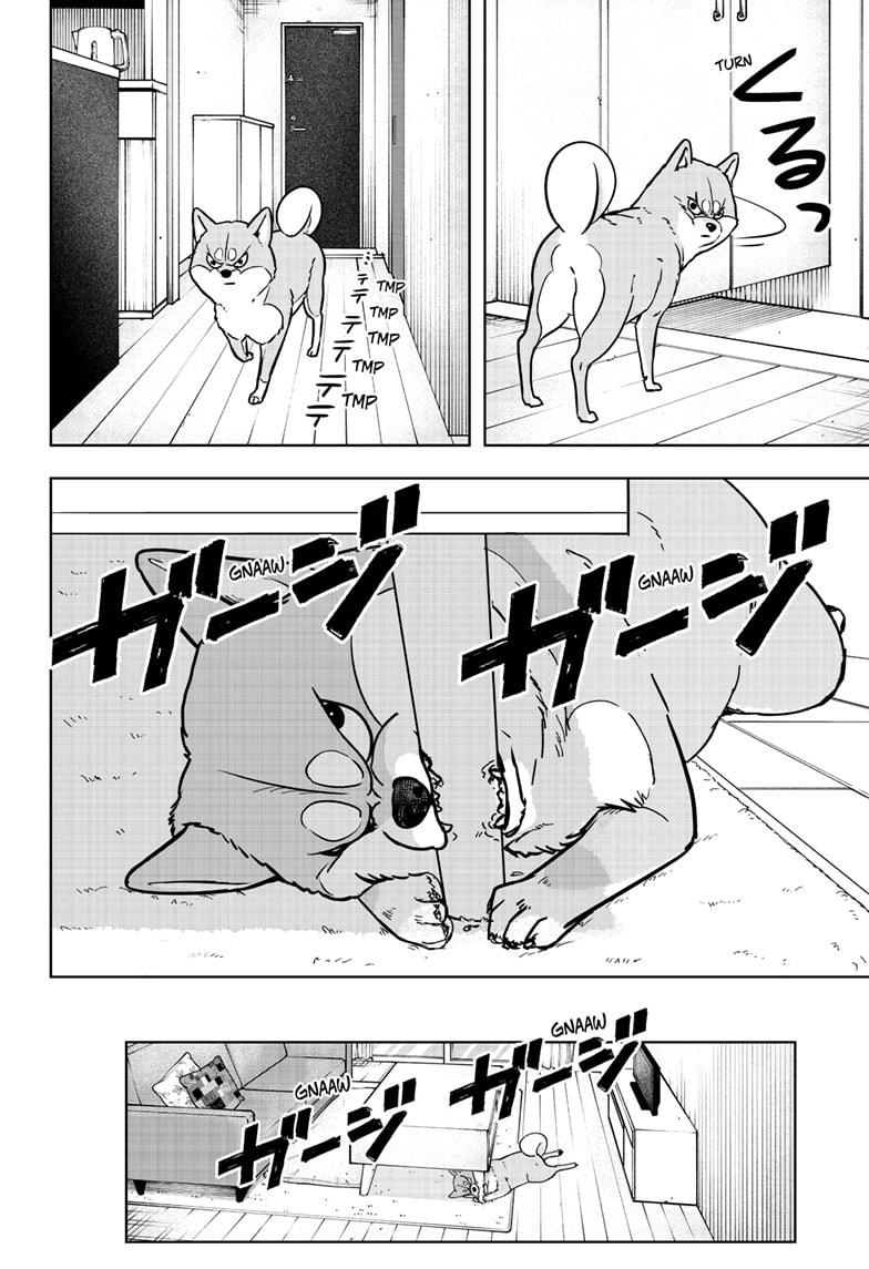 Shiba Inu Rooms Chapter 4 4