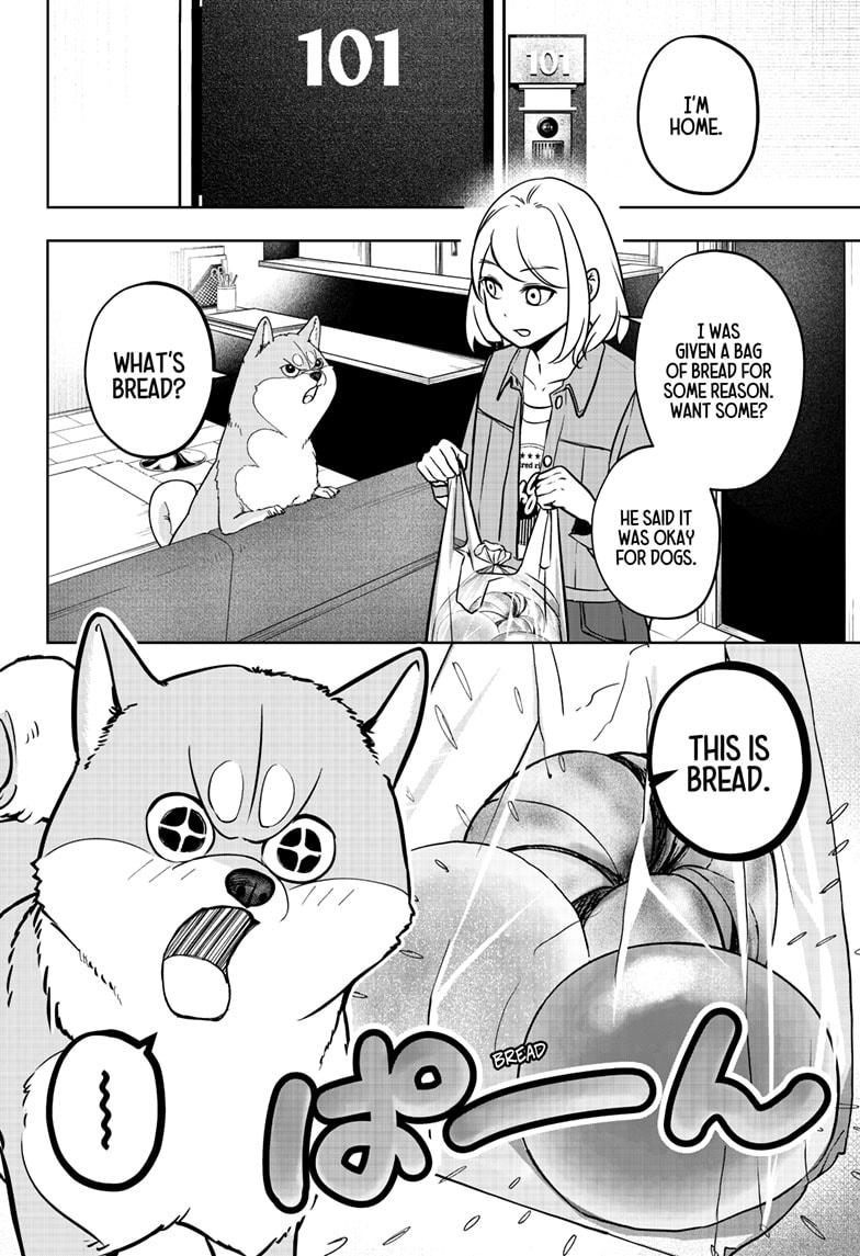 Shiba Inu Rooms Chapter 4 12