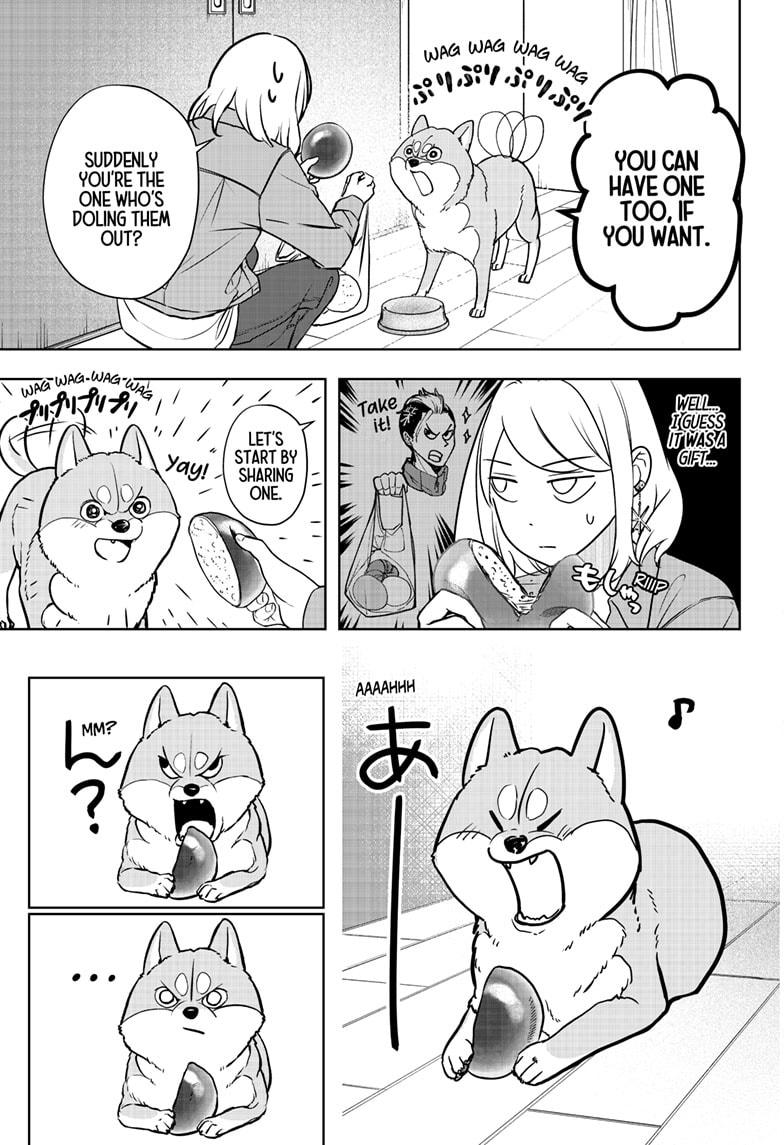 Shiba Inu Rooms Chapter 4 13