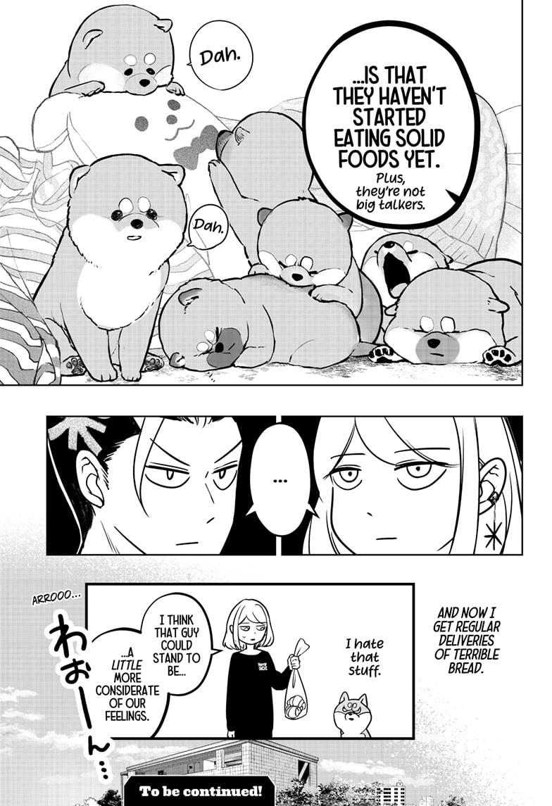 Shiba Inu Rooms Chapter 4 29