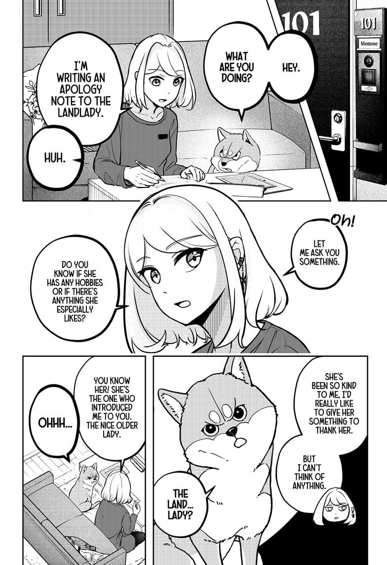 Shiba Inu Rooms Chapter 5 2