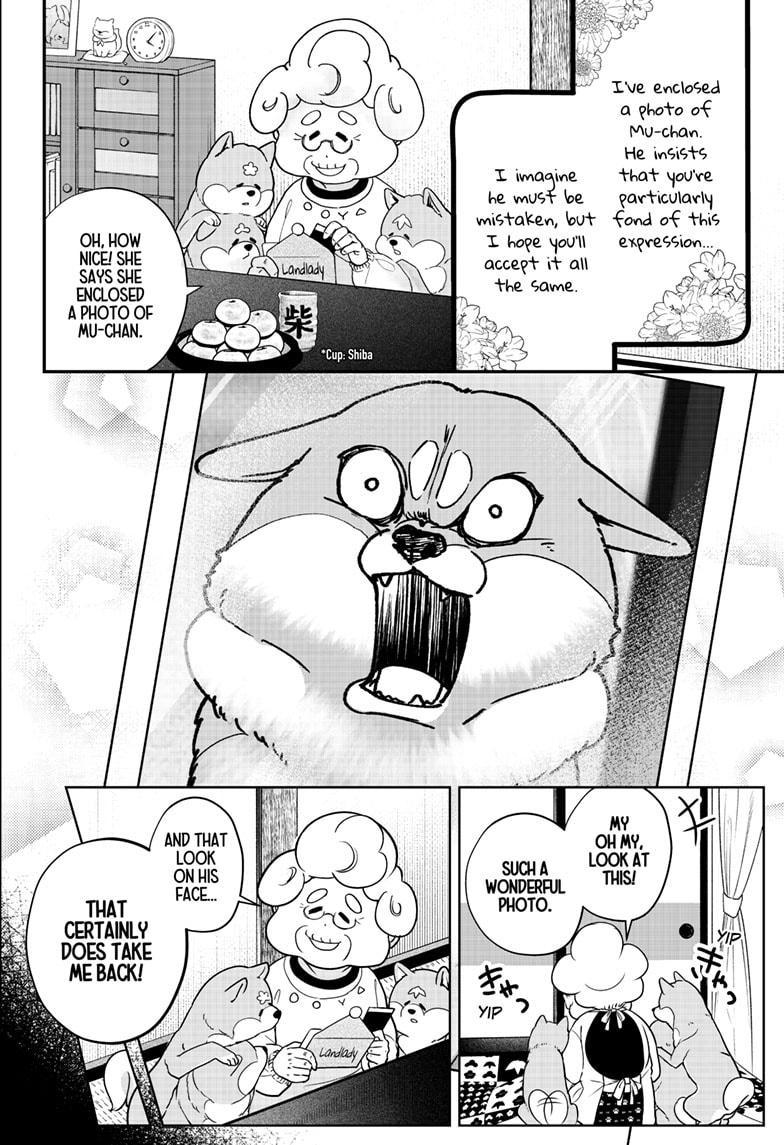 Shiba Inu Rooms Chapter 5 10