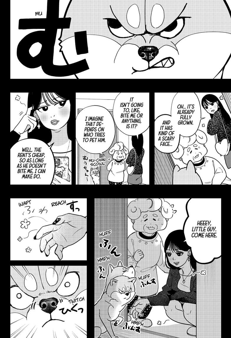 Shiba Inu Rooms Chapter 5 12