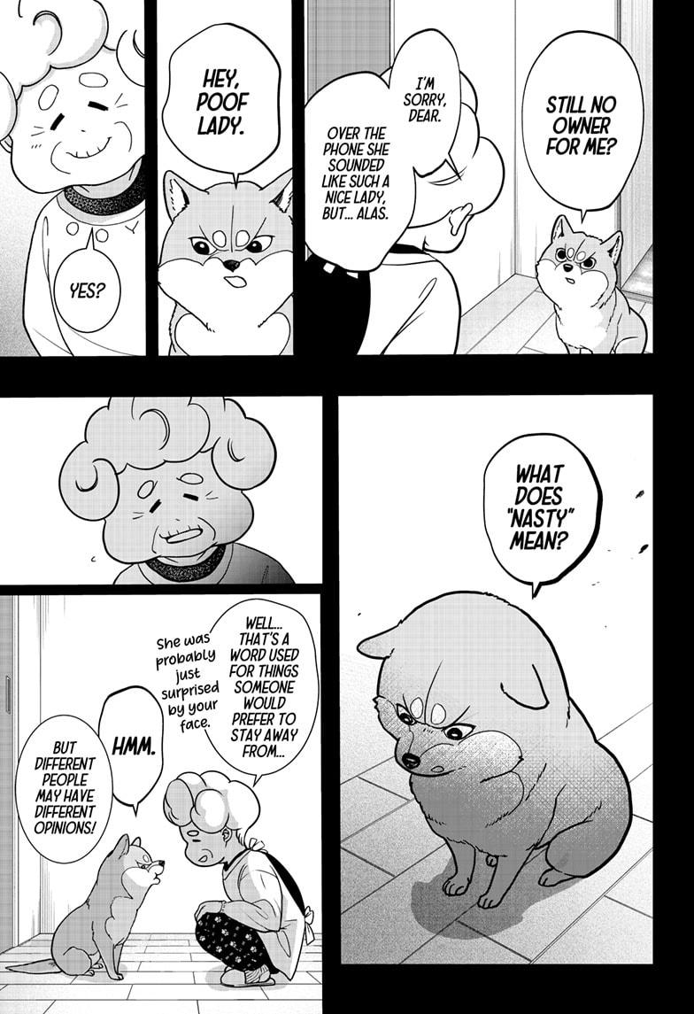 Shiba Inu Rooms Chapter 5 15