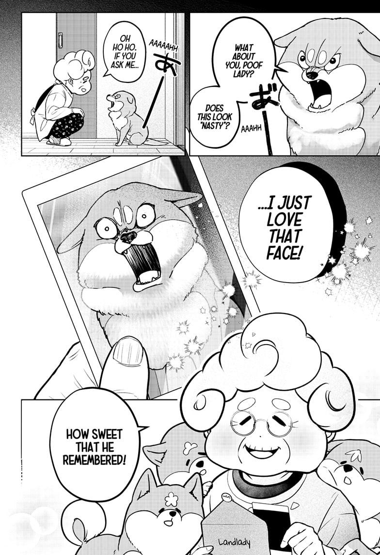 Shiba Inu Rooms Chapter 5 16